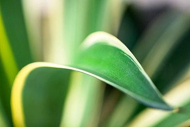 《勇者斗恶龙：达伊的大冒险》新情报 主角战斗系统公开